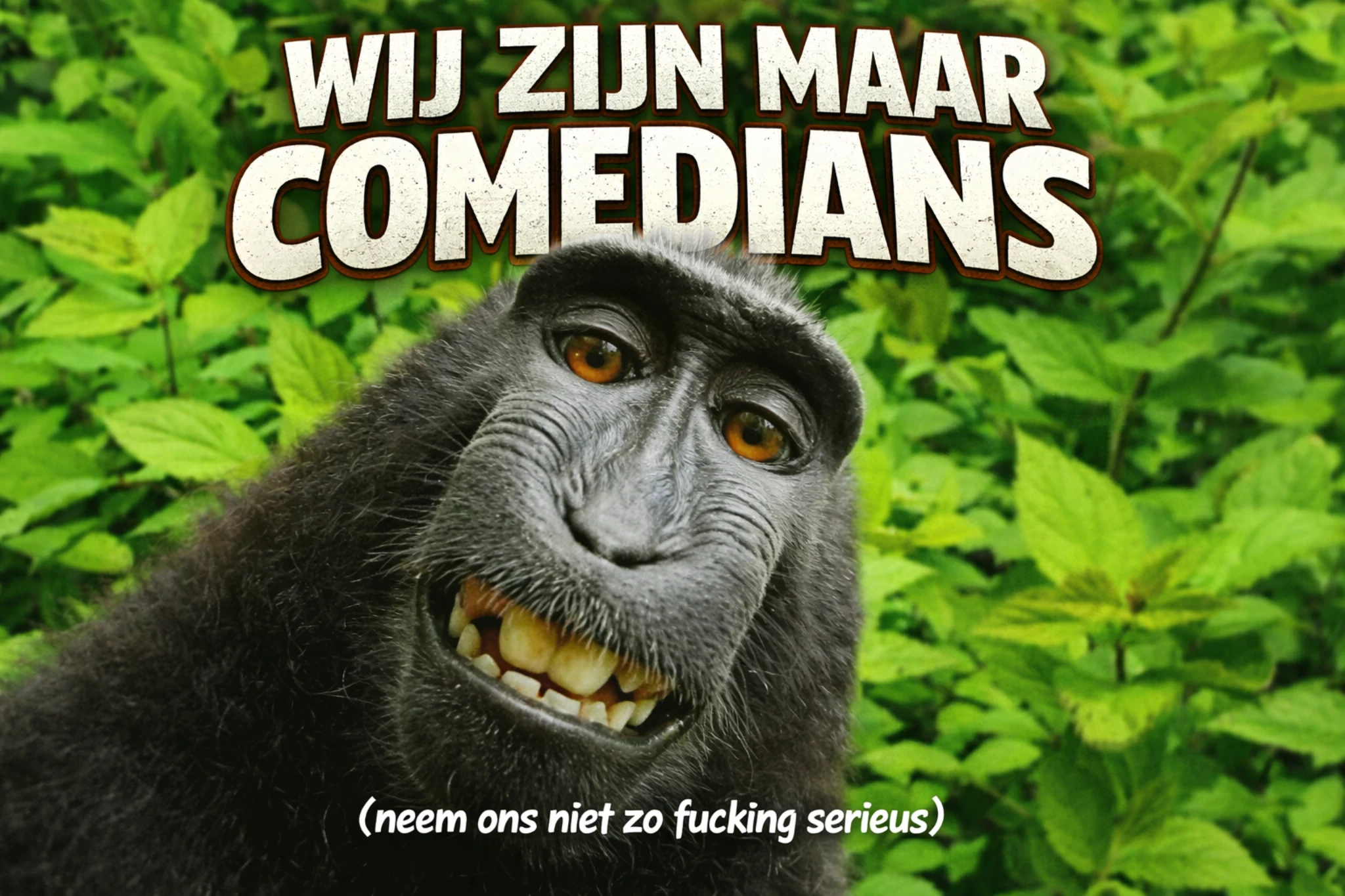 Wij zijn maar comedians — neem ons niet zo fucking serieus.